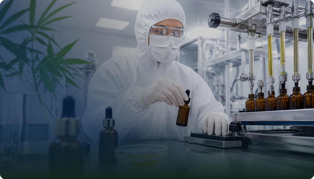 Производство CBD Medcann