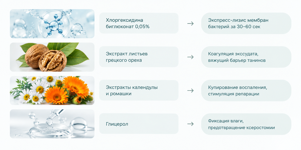 ТОНЗИЛОГАРД — иллюстрация к материалу 18 сент. 2026 г., 07 02 23